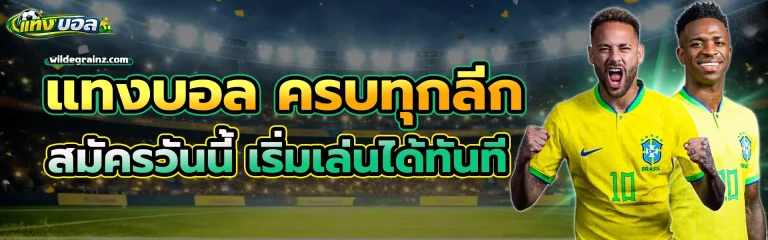 แทง บอล เข้า 1