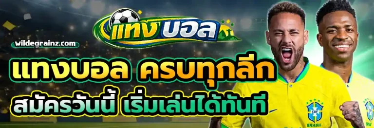 แทง บอล เข้า 2
